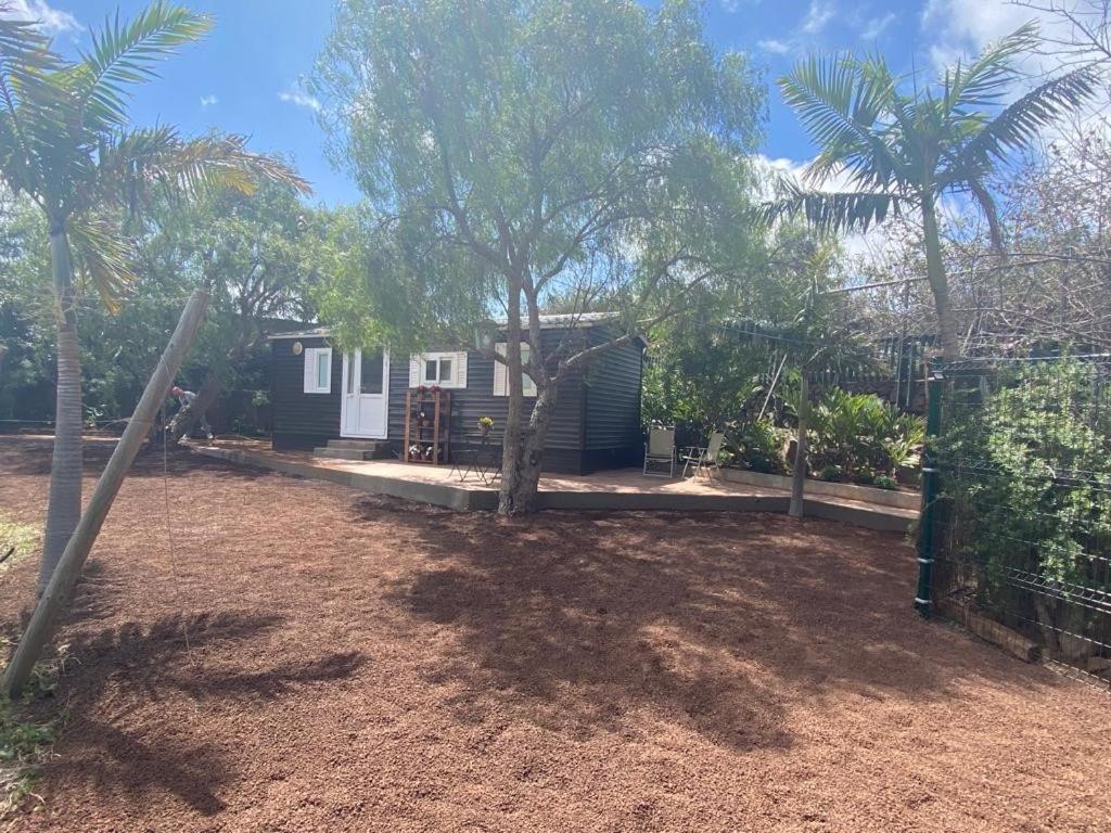 Casita Entre Vinedos, Experiencia Rural, Ideal Ninos. Tegueste エクステリア 写真