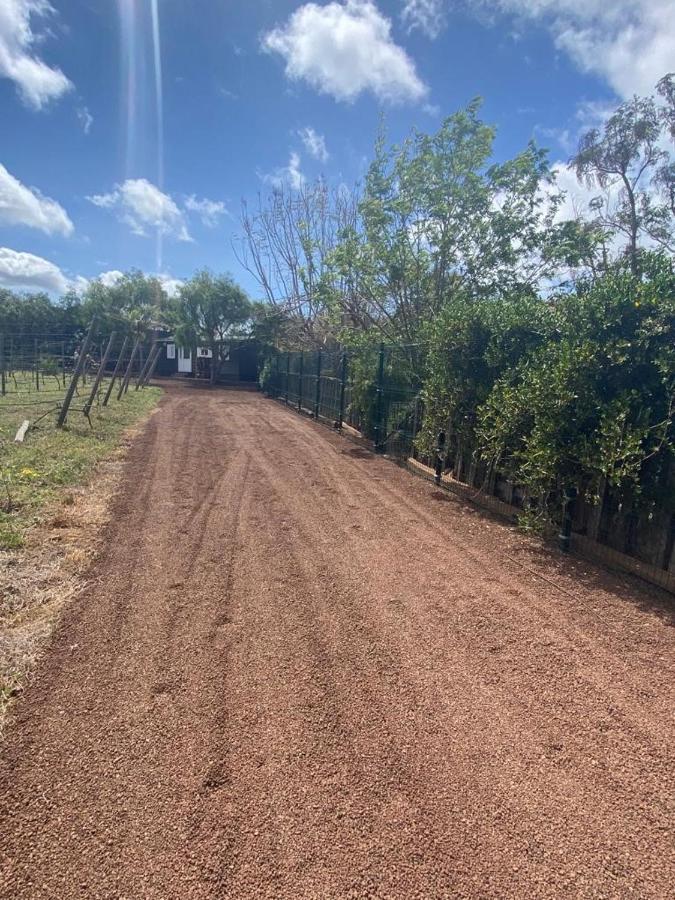Casita Entre Vinedos, Experiencia Rural, Ideal Ninos. Tegueste エクステリア 写真