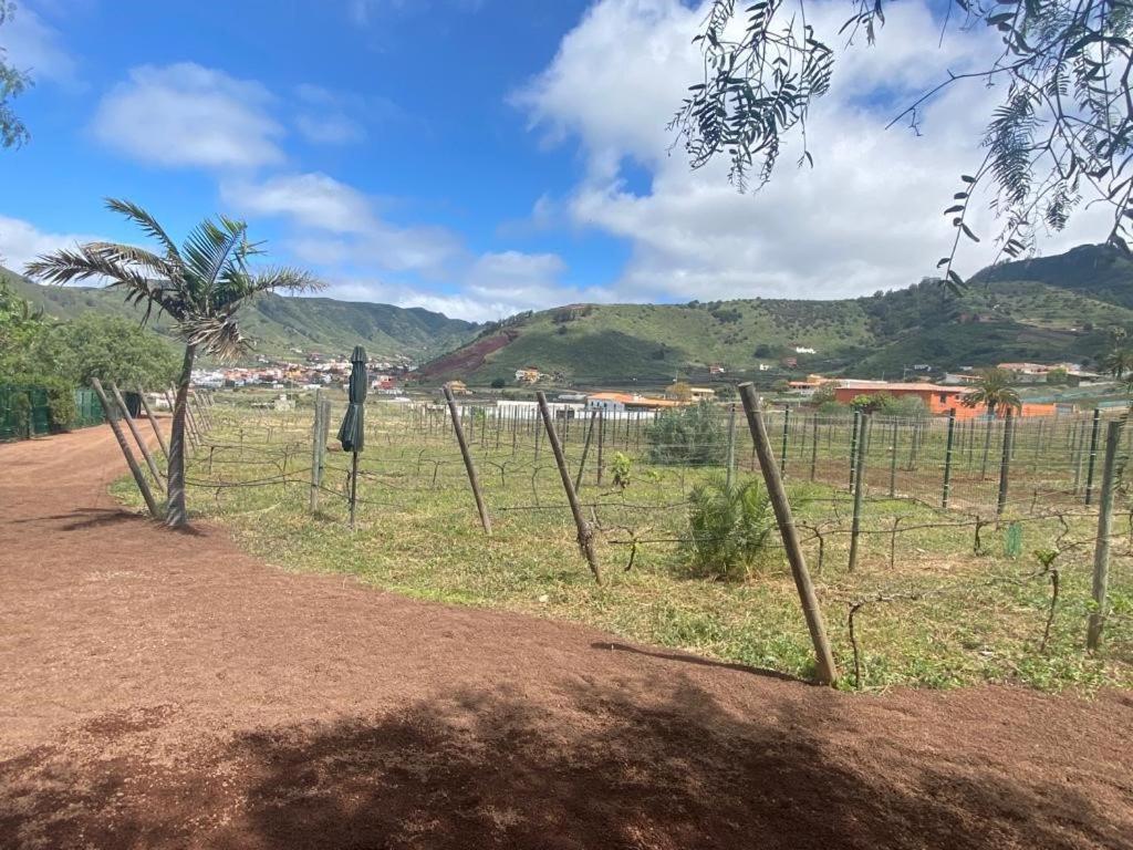 Casita Entre Vinedos, Experiencia Rural, Ideal Ninos. Tegueste エクステリア 写真