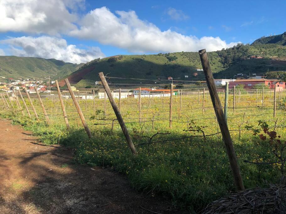 Casita Entre Vinedos, Experiencia Rural, Ideal Ninos. Tegueste エクステリア 写真