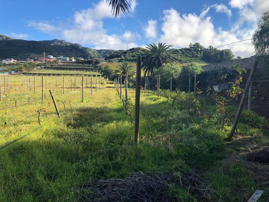 Casita Entre Vinedos, Experiencia Rural, Ideal Ninos. Tegueste エクステリア 写真